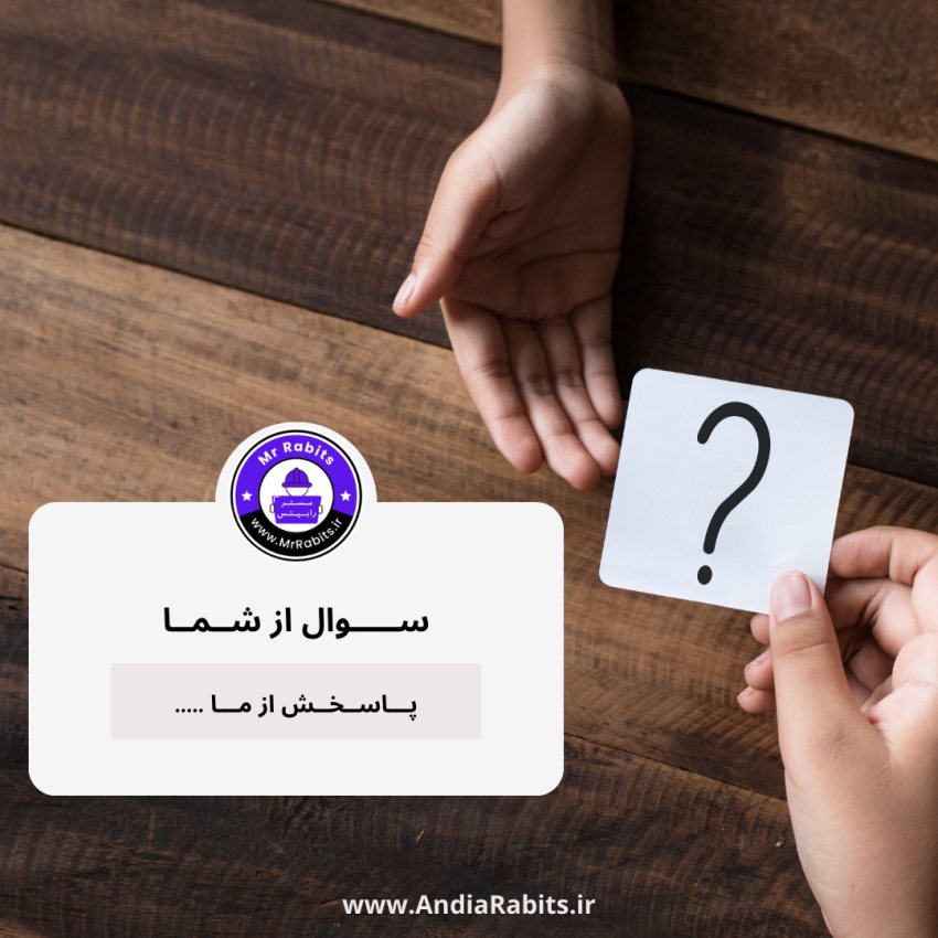 سوالات متداول - مستر رابیتس