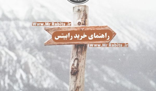 راهنمایی خرید رابیتس